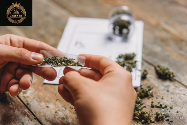 HOW TO CHOOSE THE RIGHT CANNABIS CLUB FOR YOU