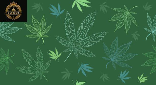 WHAT ARE THE BEST STATES FOR RECREATIONAL MARIJUANA